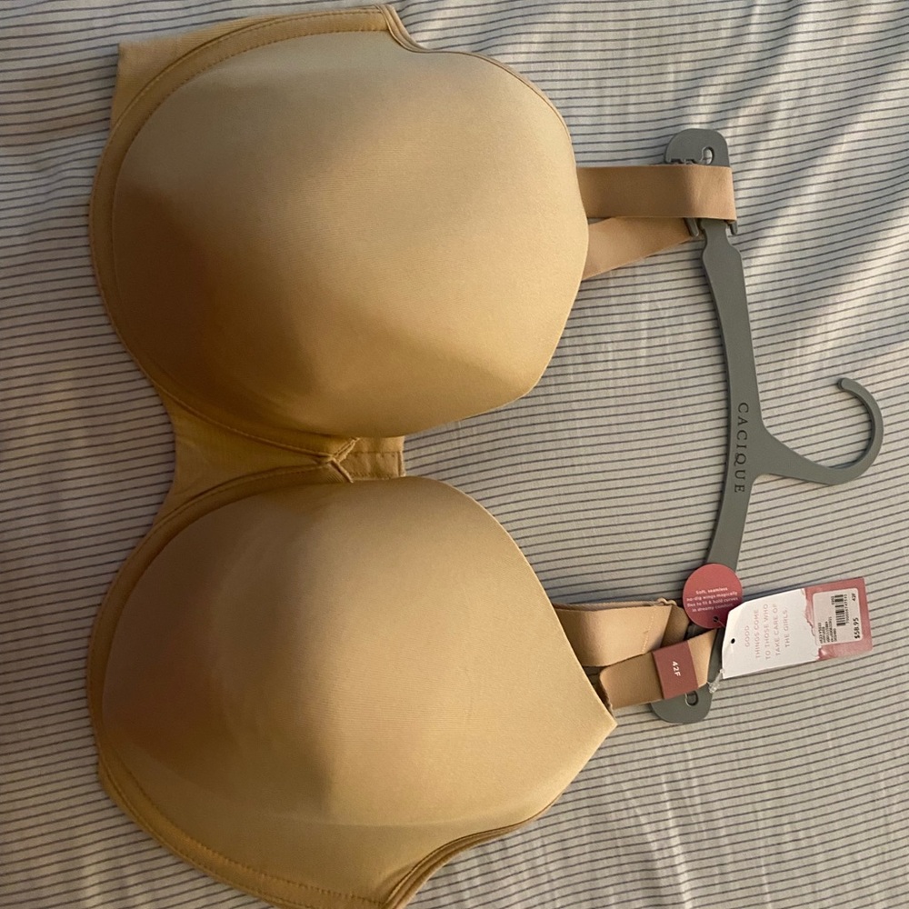 Lane Bryant bra. Brand new with tags